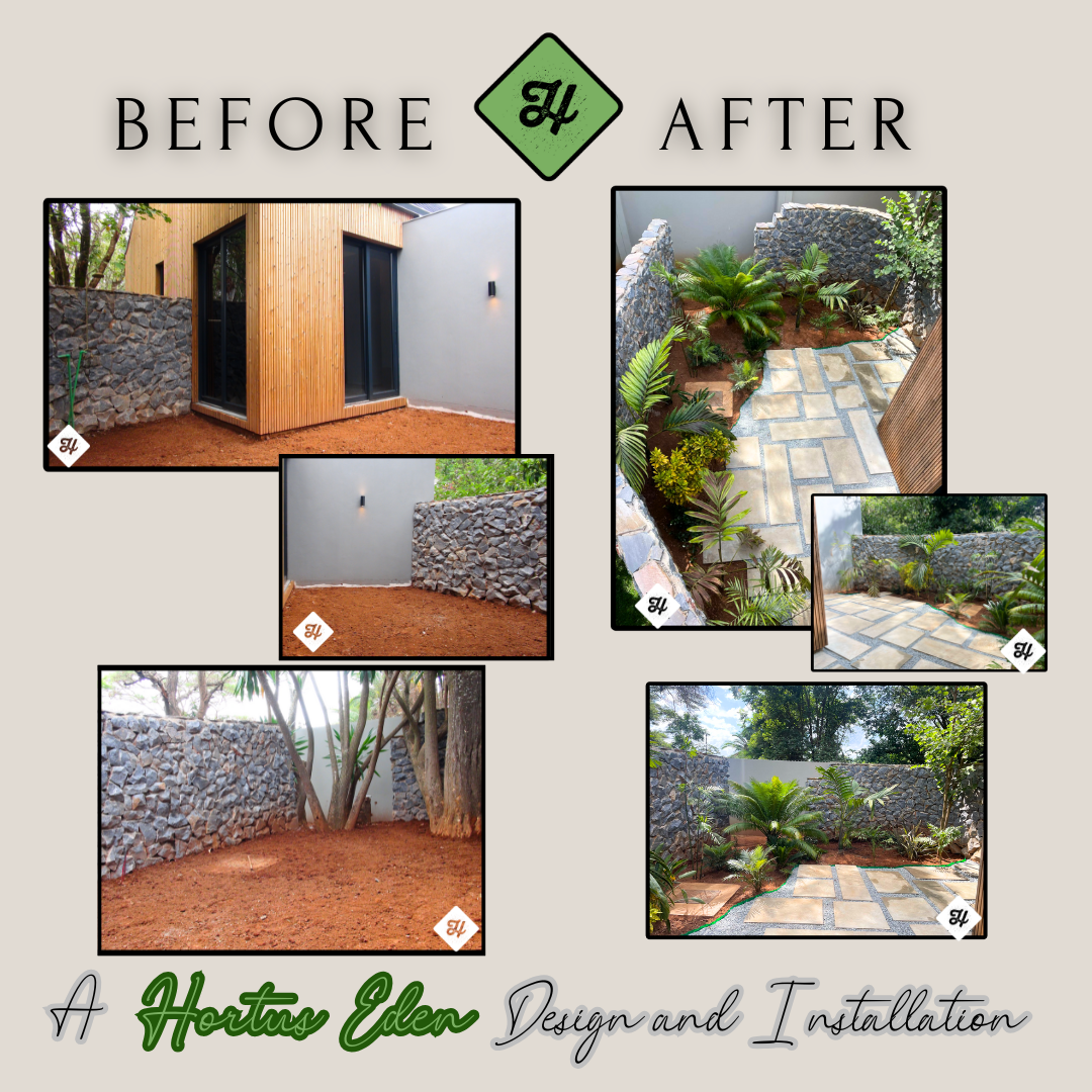 Garden Before & After Landscaping