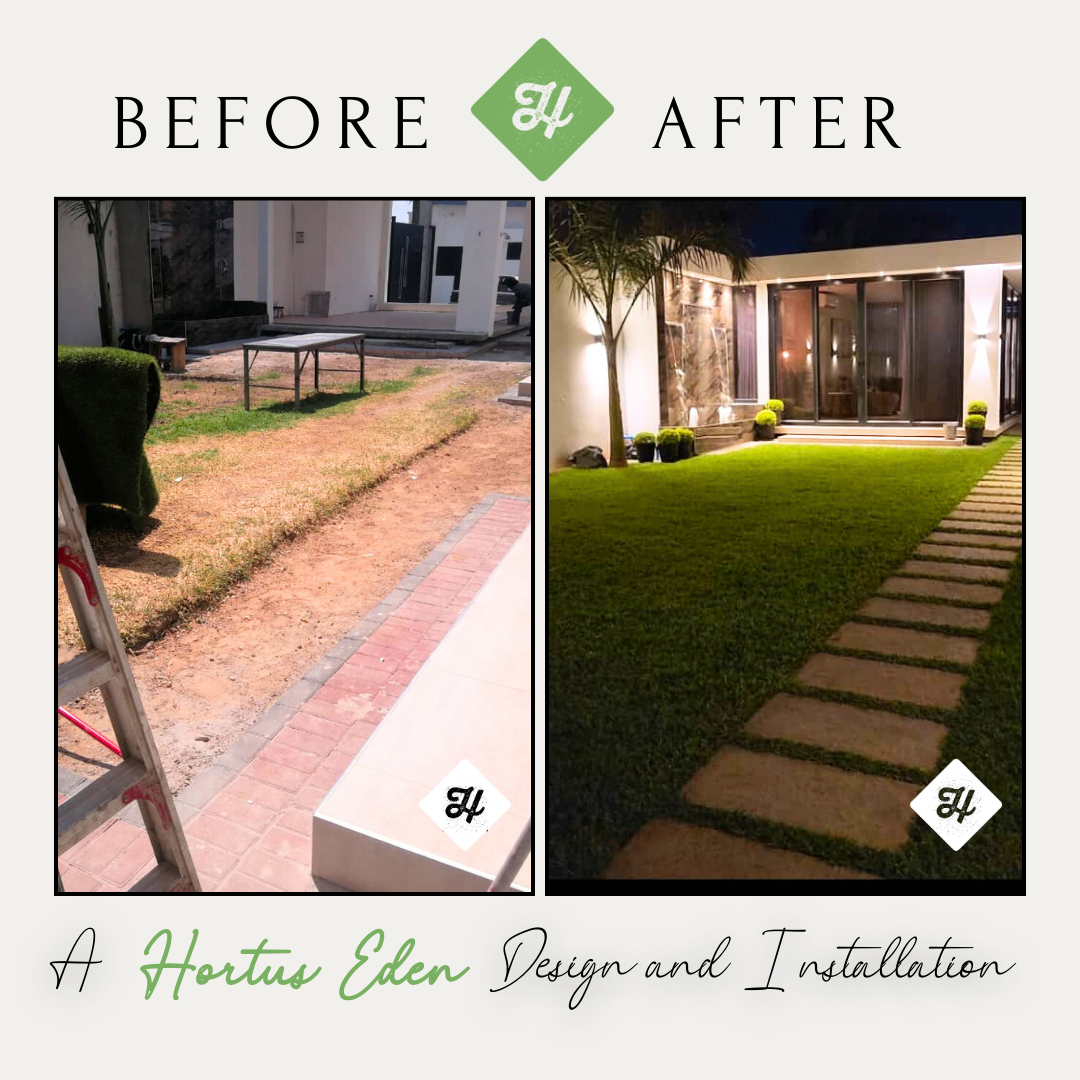 Lawn Before & After Maintenance