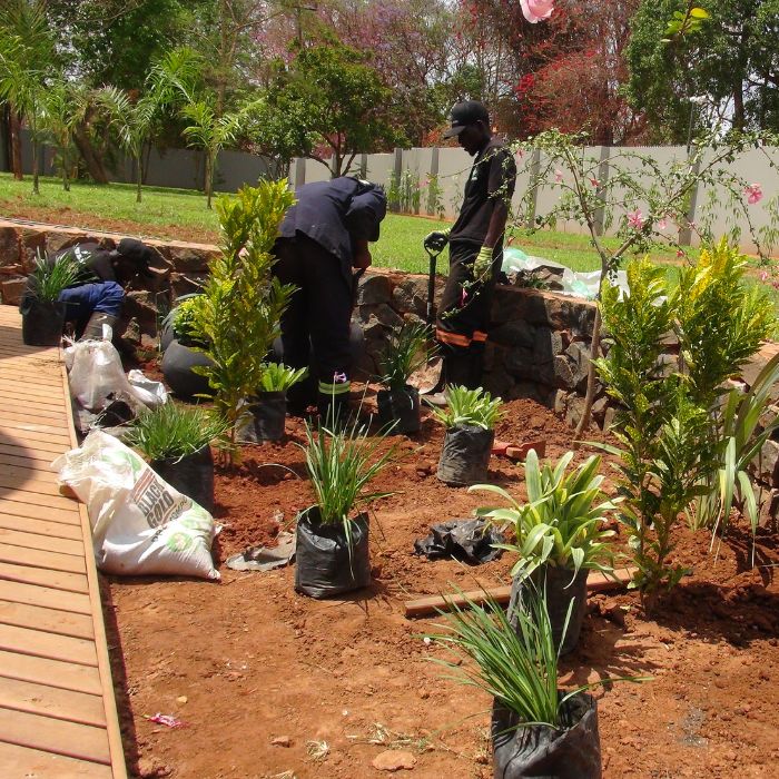 A landscaper working on a garden design layout