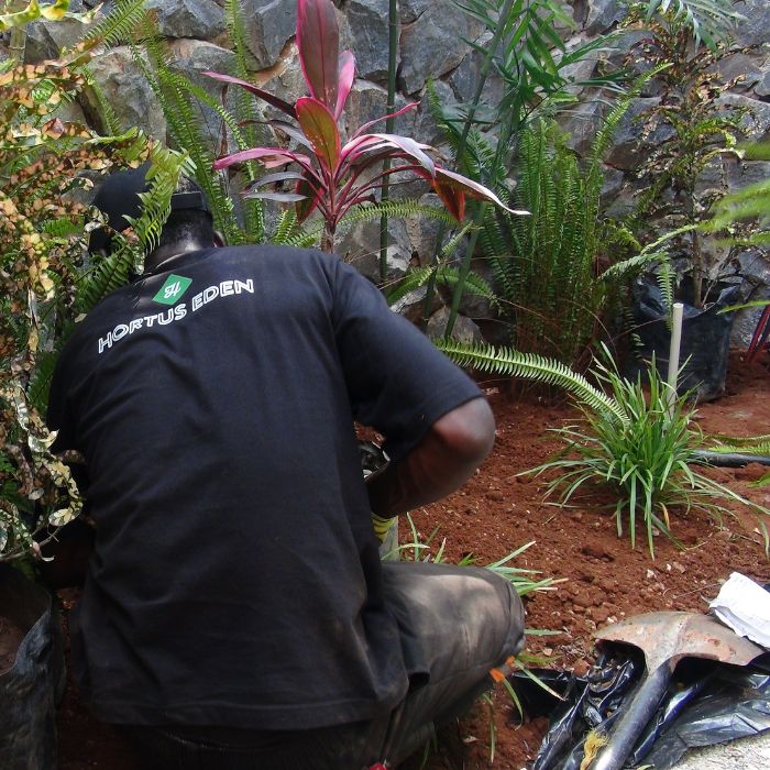 A worker installing stepping stones in a garden